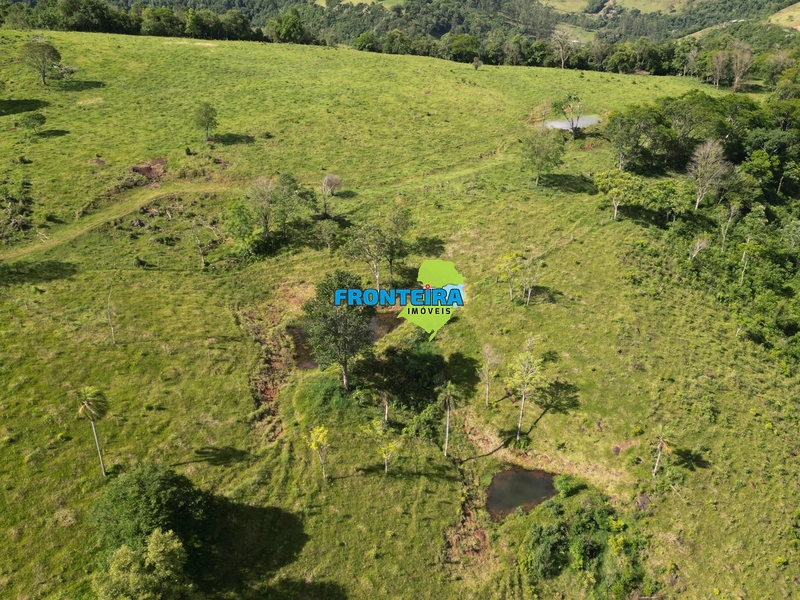 Fazenda Pronta: 19ª foto da galeria de imagens do imóvel