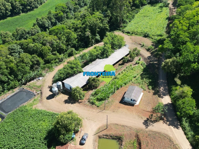 Ganja de Suinos: 4ª foto da galeria de imagens do imóvel