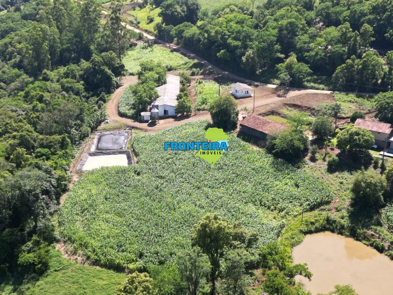 Ganja de Suinos: 5ª foto da galeria de imagens do imóvel