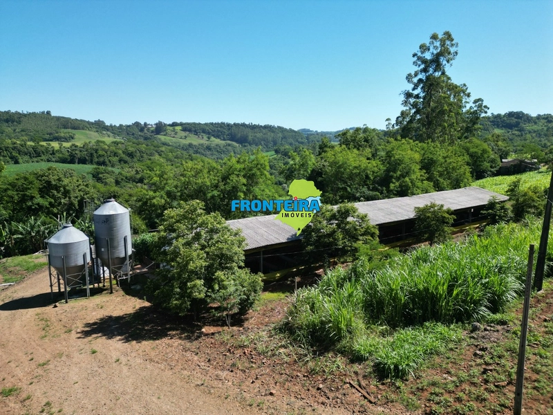 Ganja de Suinos: 8ª foto da galeria de imagens do imóvel