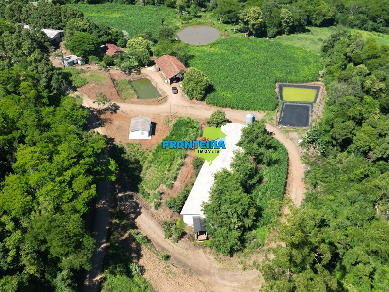 Ganja de Suinos: 3ª foto da galeria de imagens do imóvel