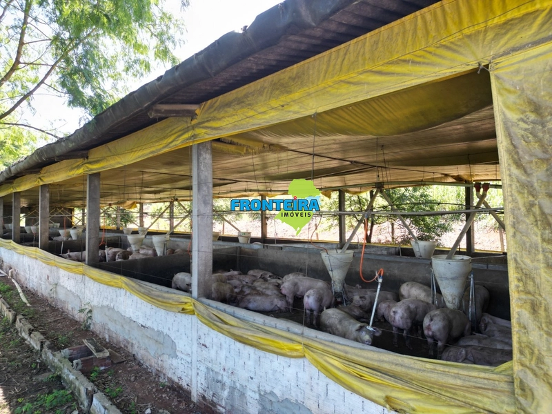 Ganja de Suinos: 10ª foto da galeria de imagens do imóvel
