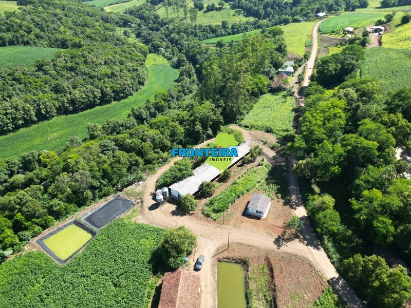 Ganja de Suinos: 1ª foto da galeria de imagens do imóvel