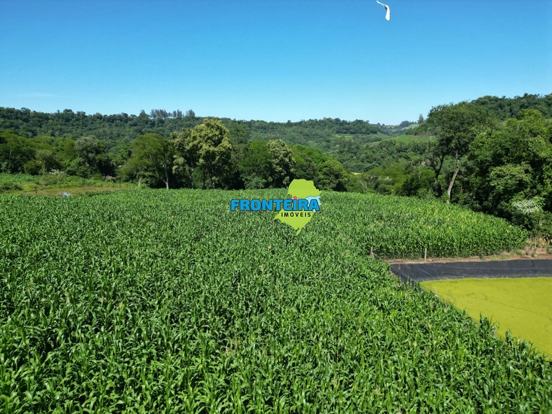 Ganja de Suinos: 9ª foto da galeria de imagens do imóvel