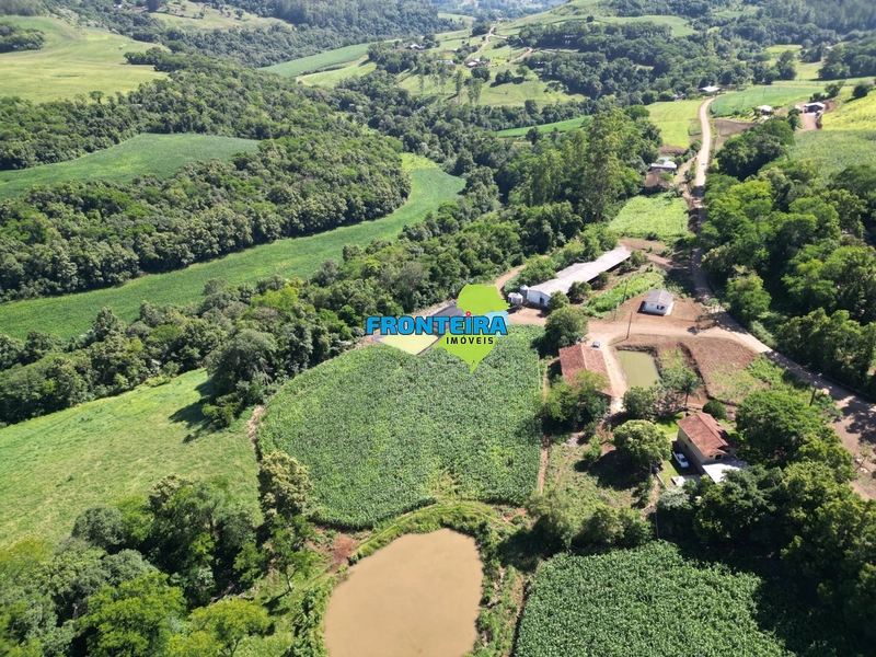 Ganja de Suinos: 6ª foto da galeria de imagens do imóvel