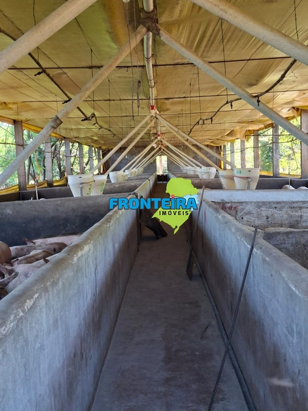 Ganja de Suinos: 13ª foto da galeria de imagens do imóvel