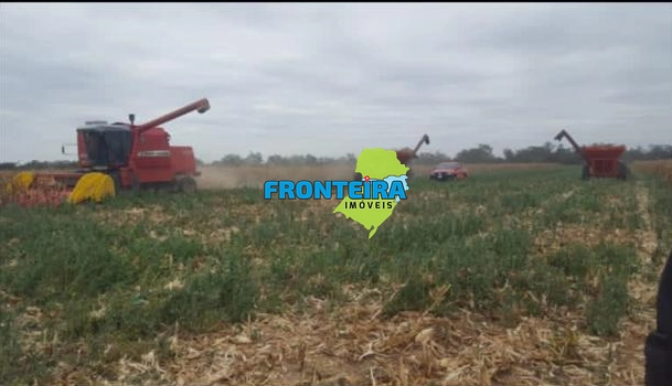 Fazenda no Chaco Paraguai: 5ª foto da galeria de imagens do imóvel