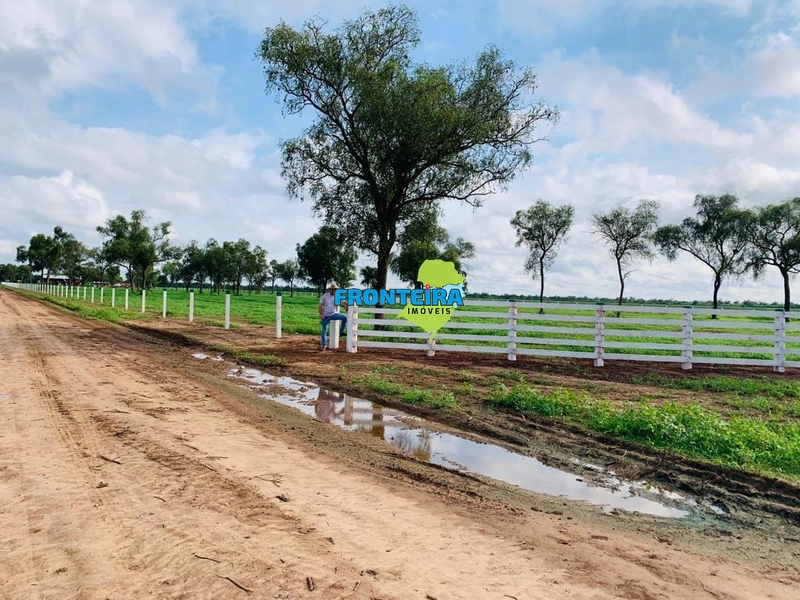 Fazenda no Chaco Paraguai: 27ª foto da galeria de imagens do imóvel
