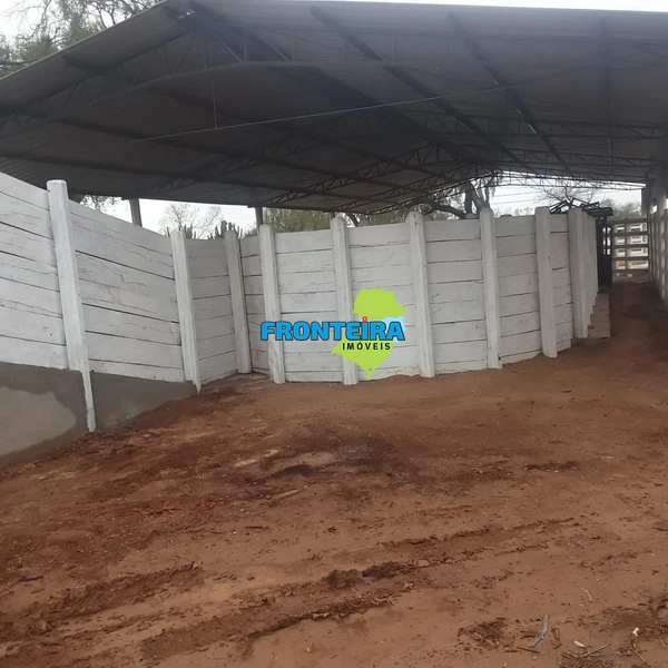 Fazenda no Chaco Paraguai: 11ª foto da galeria de imagens do imóvel