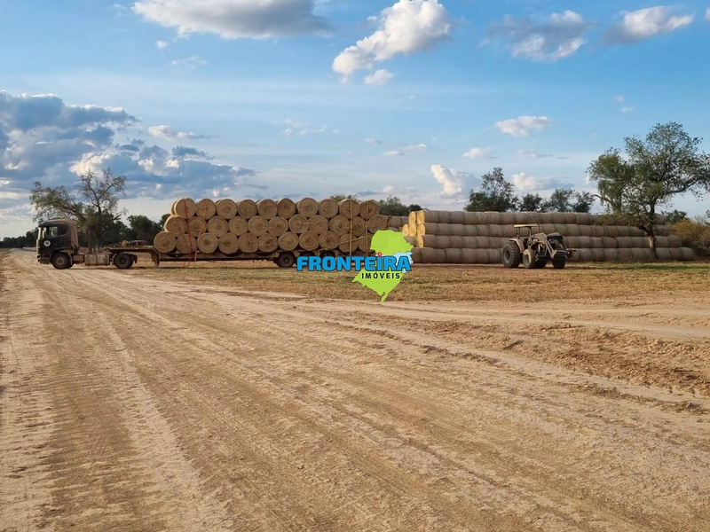 Fazenda no Chaco Paraguai: 31ª foto da galeria de imagens do imóvel