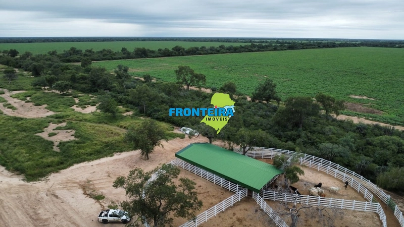 Fazenda no Chaco Paraguai: 1ª foto da galeria de imagens do imóvel