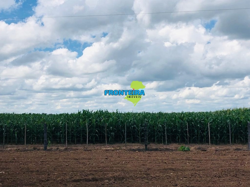 Fazenda no Chaco Paraguai: 10ª foto da galeria de imagens do imóvel