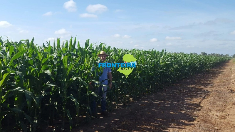 Fazenda no Chaco Paraguai: 38ª foto da galeria de imagens do imóvel