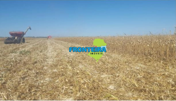 Fazenda no Chaco Paraguai: 4ª foto da galeria de imagens do imóvel