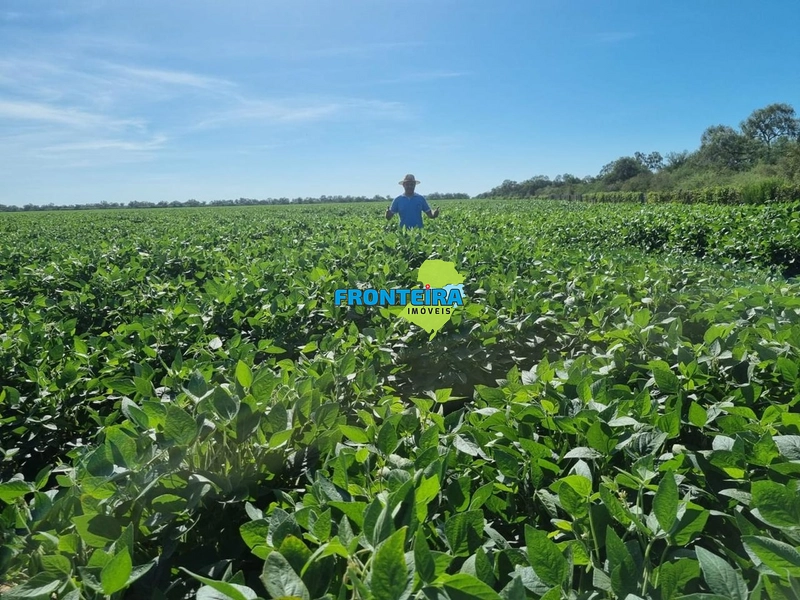 Fazenda no Chaco Paraguai: 33ª foto da galeria de imagens do imóvel