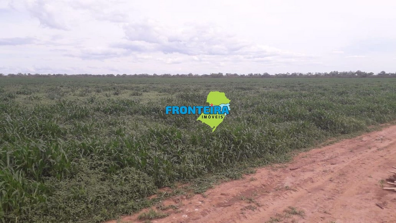 Fazenda no Chaco Paraguai: 30ª foto da galeria de imagens do imóvel