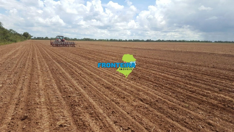 Fazenda no Chaco Paraguai: 13ª foto da galeria de imagens do imóvel