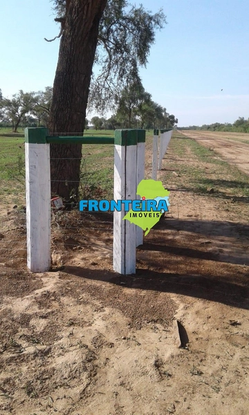 Fazenda no Chaco Paraguai: 22ª foto da galeria de imagens do imóvel