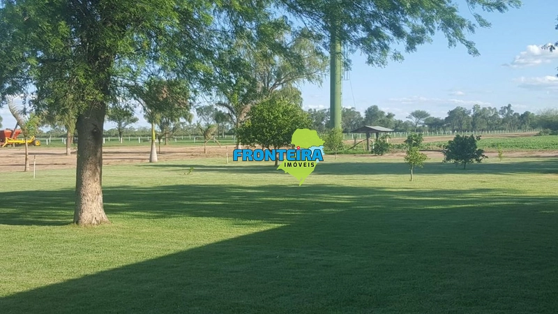 Fazenda no Chaco Paraguai: 7ª foto da galeria de imagens do imóvel