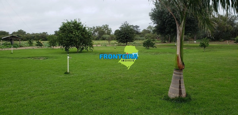 Fazenda no Chaco Paraguai: 2ª foto da galeria de imagens do imóvel