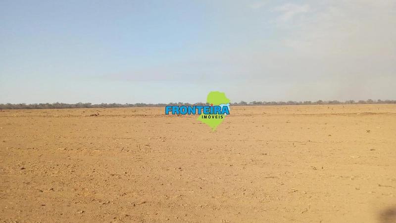 Fazenda no Chaco Paraguai: 3ª foto da galeria de imagens do imóvel