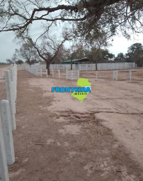 Fazenda no Chaco Paraguai: 6ª foto da galeria de imagens do imóvel