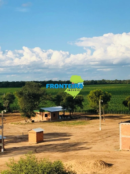 Fazenda no Chaco Paraguai: 28ª foto da galeria de imagens do imóvel