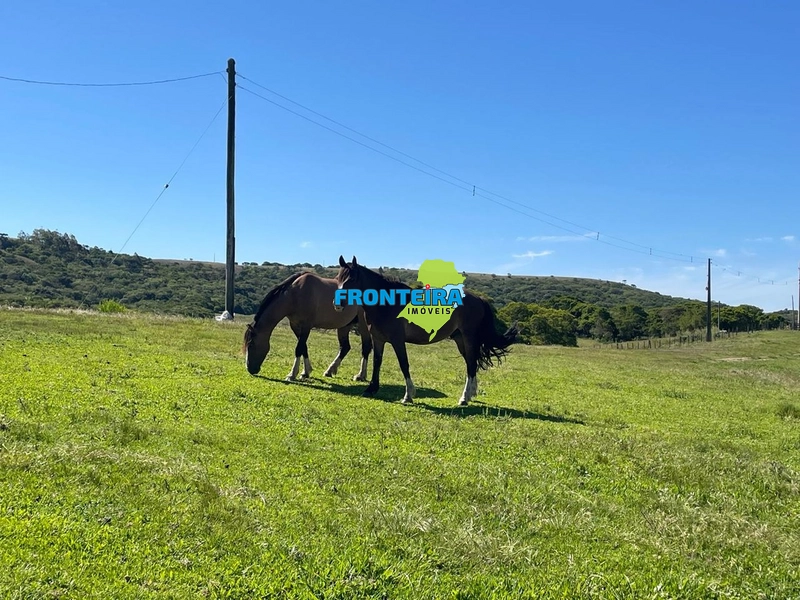 FAZENDA NO RS: 13ª foto da galeria de imagens do imóvel