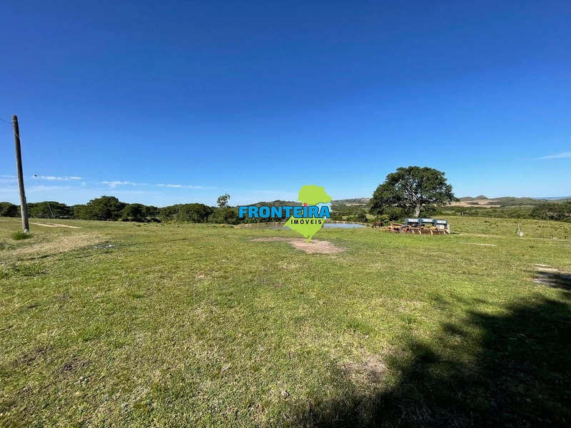 FAZENDA NO RS: 17ª foto da galeria de imagens do imóvel