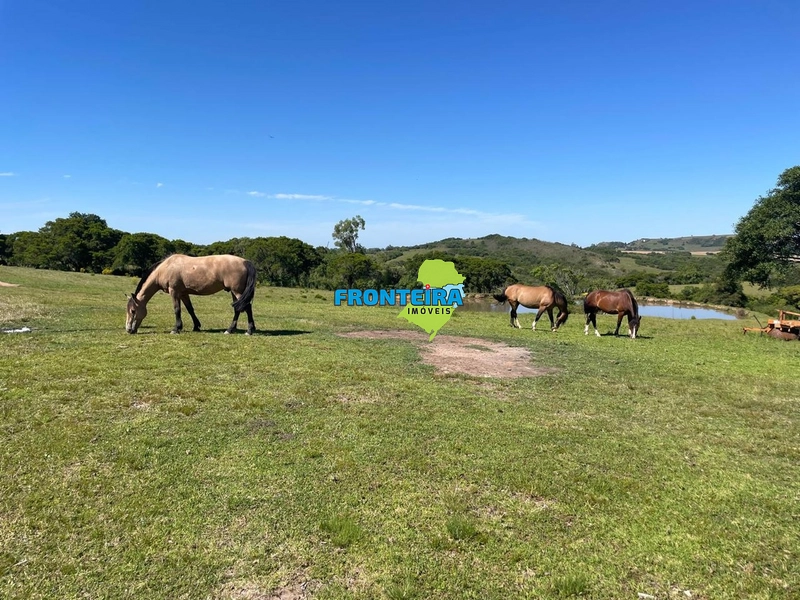 FAZENDA NO RS: 15ª foto da galeria de imagens do imóvel