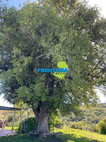 FAZENDA NO RS: 16ª foto da galeria de imagens do imóvel