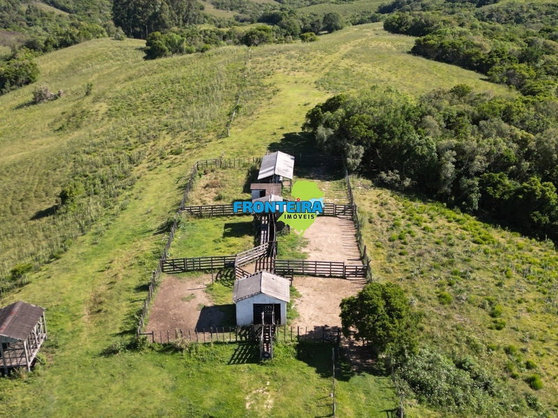 FAZENDA NO RS: 9ª foto da galeria de imagens do imóvel