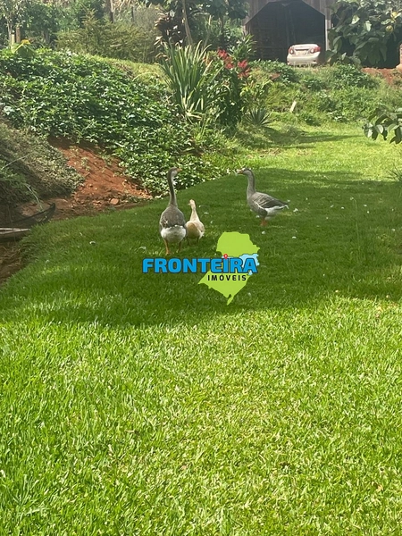 Chácara  Próxima a Cidade: 13ª foto da galeria de imagens do imóvel