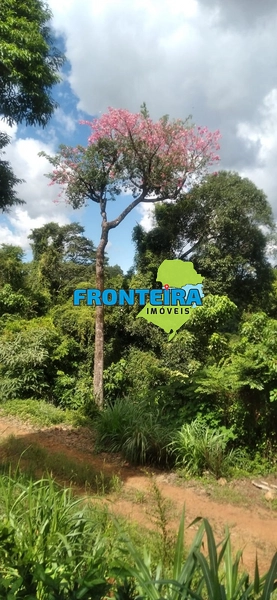 Chácara  Próxima a Cidade: 9ª foto da galeria de imagens do imóvel