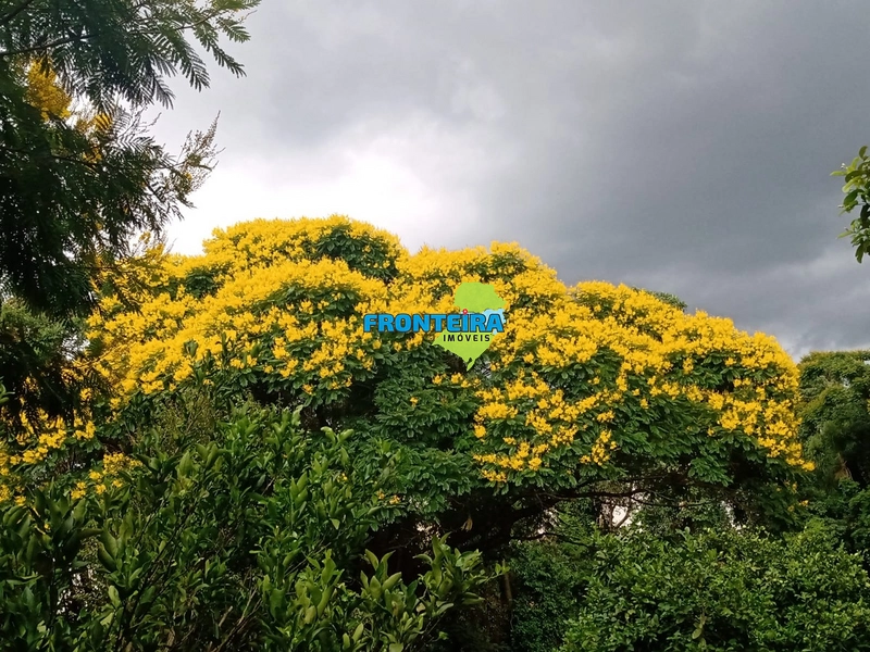 Chácara  Próxima a Cidade: 11ª foto da galeria de imagens do imóvel