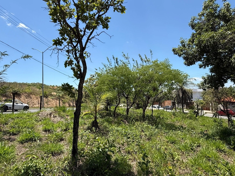 Lote comercial na área central de Lagoa Santa/MG!: 5ª foto da galeria de imagens do imóvel