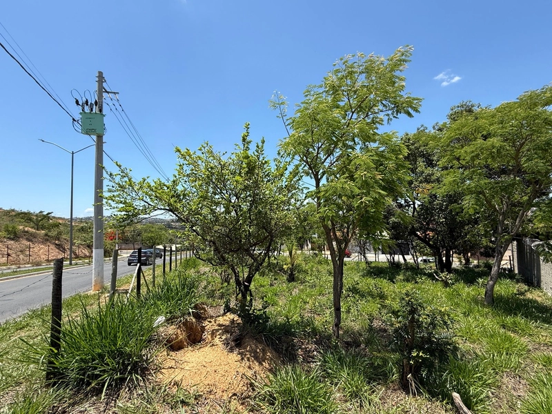 Lote comercial na área central de Lagoa Santa/MG!: 6ª foto da galeria de imagens do imóvel