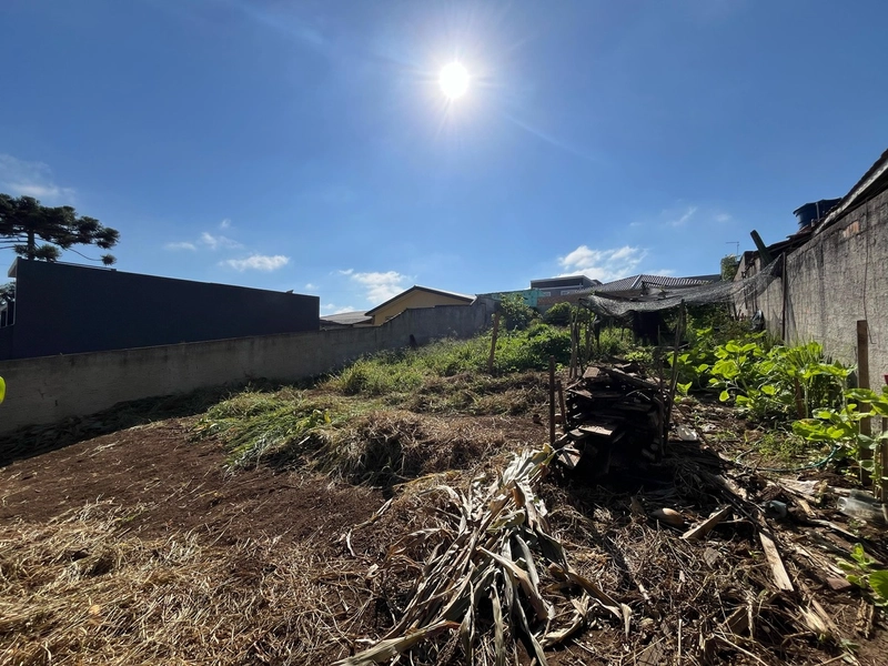 Terreno bem localizado no Eucaliptos!: 1ª foto da galeria de imagens do imóvel