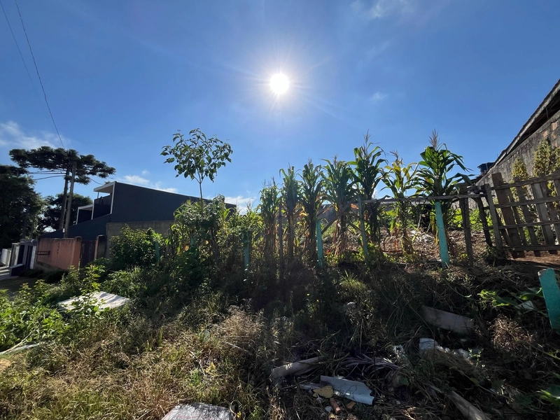 Terreno bem localizado no Eucaliptos!: 2ª foto da galeria de imagens do imóvel