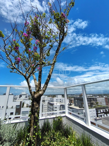 NAVEGANTES: 26ª foto da galeria de imagens do imóvel