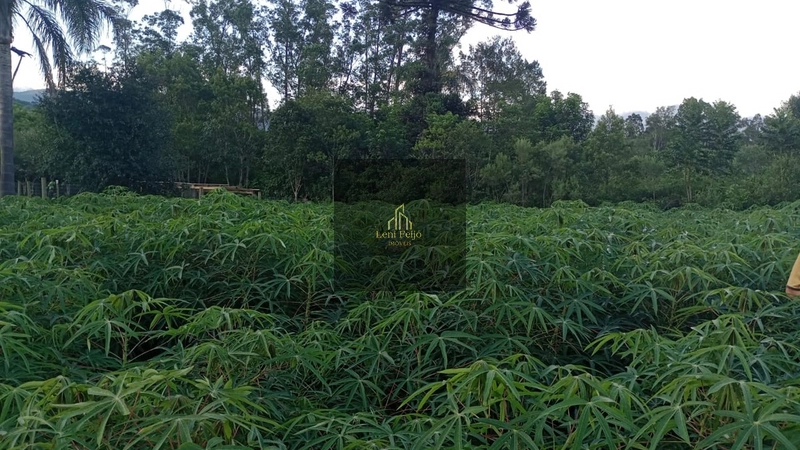 LOTE PRONTO PRA CONSTRUIR: 7ª foto da galeria de imagens do imóvel