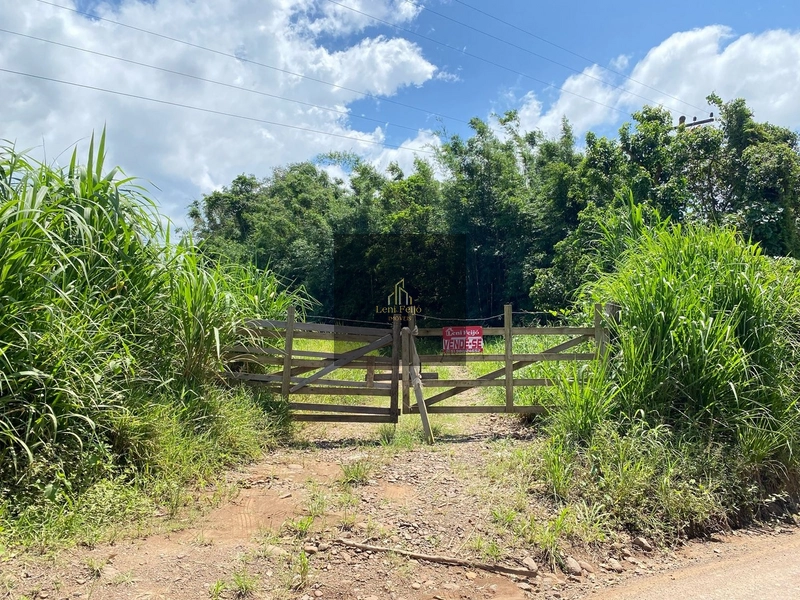 ÁREA COM 7 HECTARES: 7ª foto da galeria de imagens do imóvel