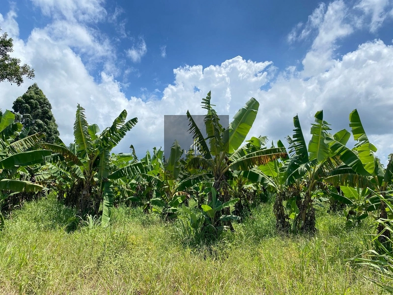 ÁREA COM 7 HECTARES: 3ª foto da galeria de imagens do imóvel