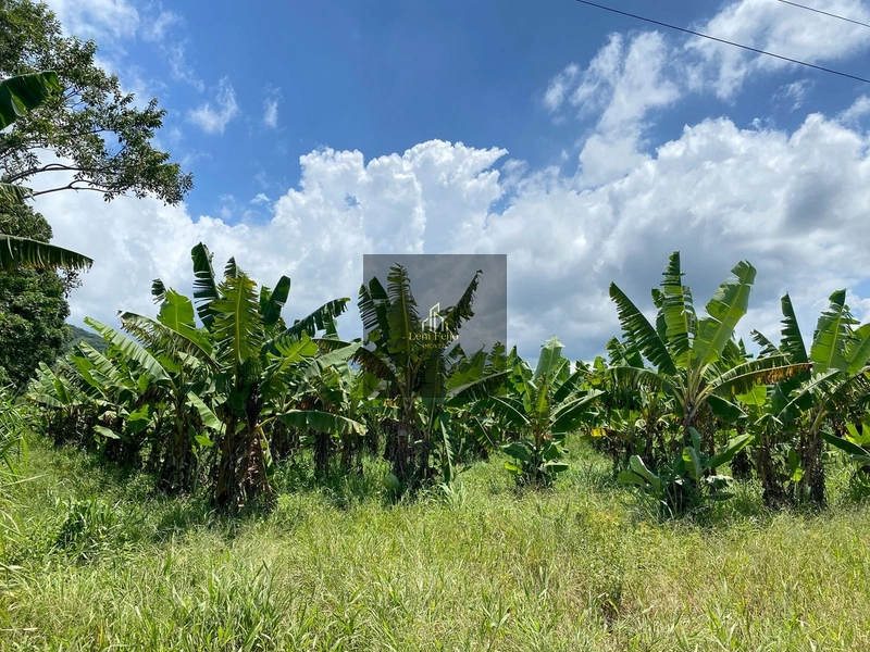 ÁREA COM 7 HECTARES: 4ª foto da galeria de imagens do imóvel