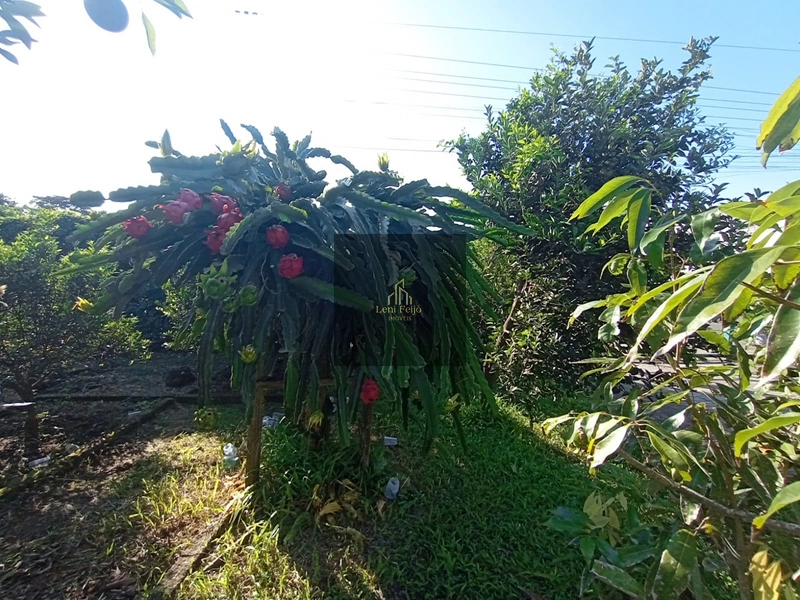RESIDÊNCIA ALTO PADRÃO CENTRO: 5ª foto da galeria de imagens do imóvel