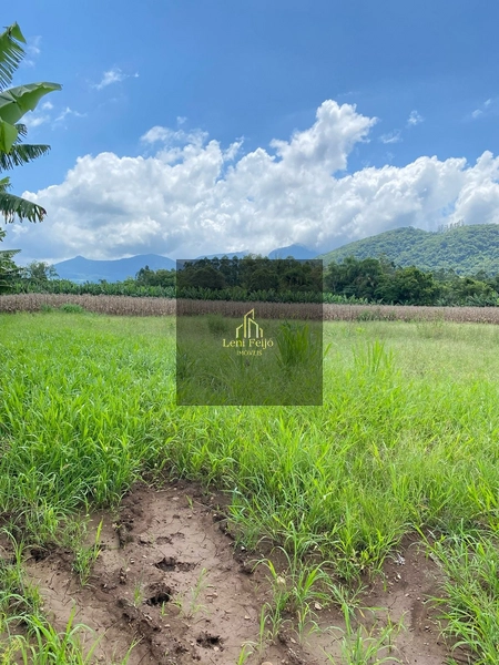 ÁREA DE 8,7 HECTARES PARA PLANTIO: 17ª foto da galeria de imagens do imóvel