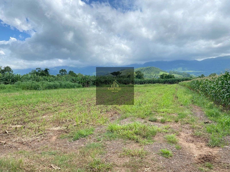ÁREA DE 8,7 HECTARES PARA PLANTIO: 16ª foto da galeria de imagens do imóvel