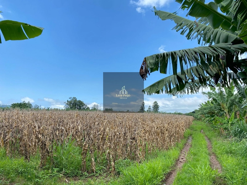 ÁREA DE 8,7 HECTARES PARA PLANTIO: 14ª foto da galeria de imagens do imóvel