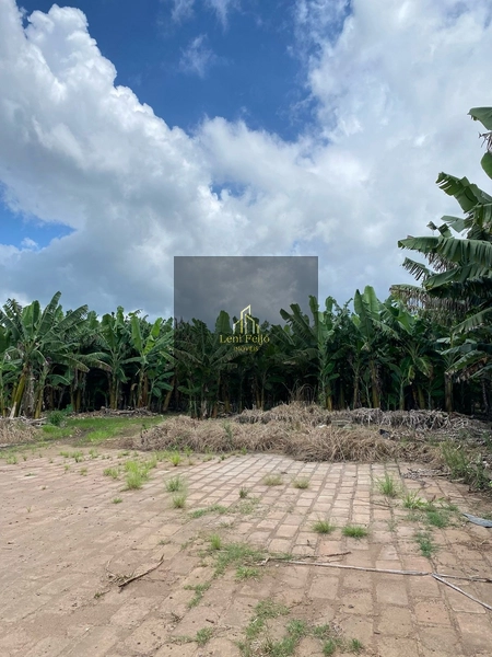 ÁREA DE 8,7 HECTARES PARA PLANTIO: 7ª foto da galeria de imagens do imóvel
