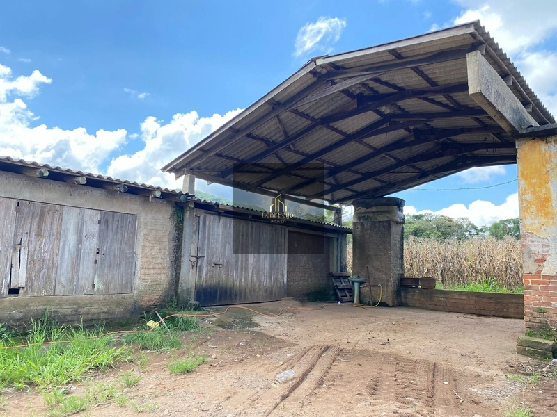 ÁREA DE 8,7 HECTARES PARA PLANTIO: 19ª foto da galeria de imagens do imóvel